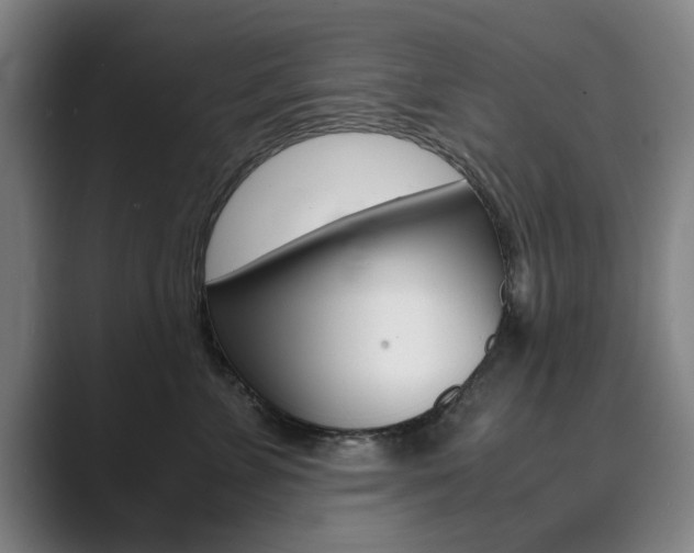 X0000089930715200706290755