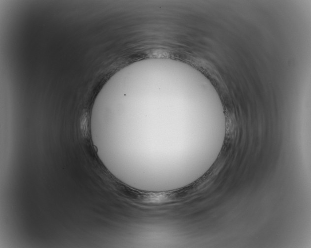 X0000089930717200706290755