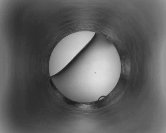 X0000089930718200706290755
