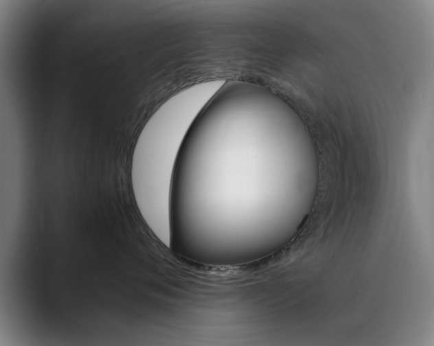 X0000089930720200706290755