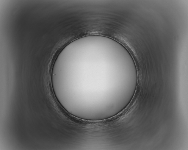 X0000089930721200706290755