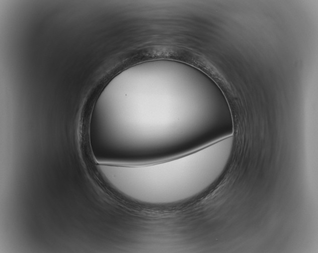 X0000089930722200706290755