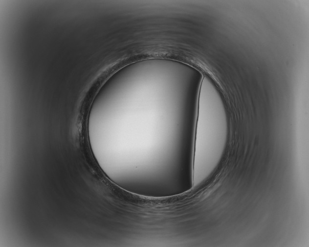 X0000089930723200706290755
