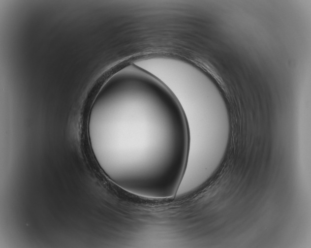 X0000089930724200706290755