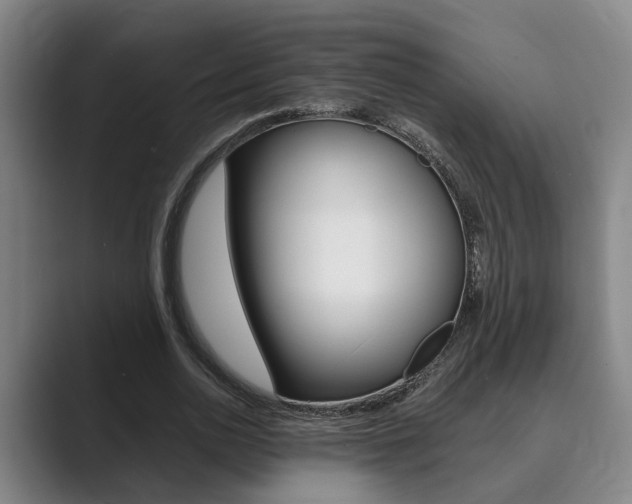 X0000089930726200706290755
