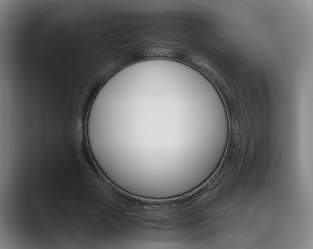 X0000089930729200706290755