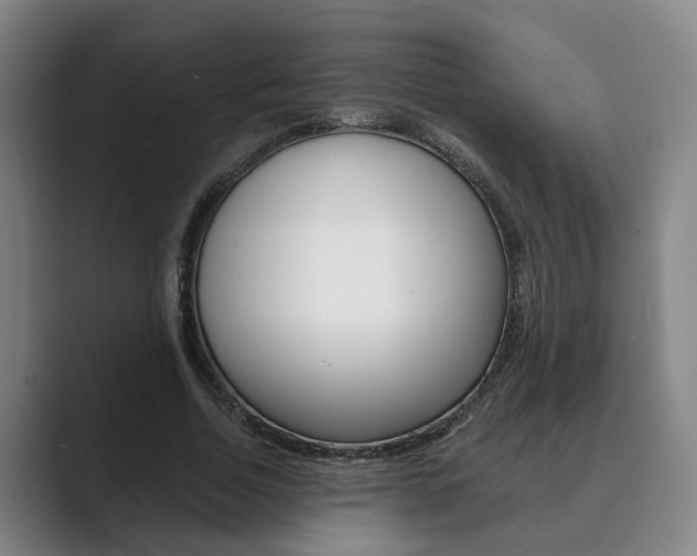 X0000089930730200706290755