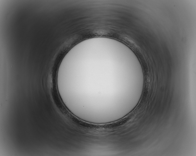 X0000089930734200706290755