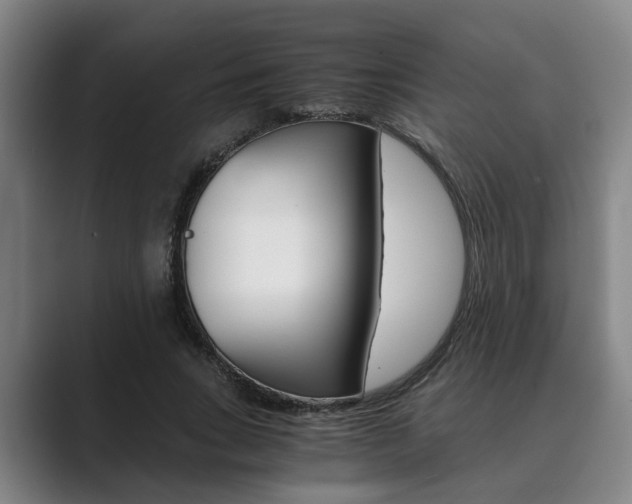 X0000089930735200706290755