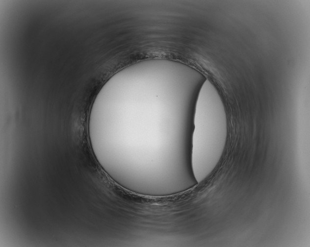 X0000089930737200706290755