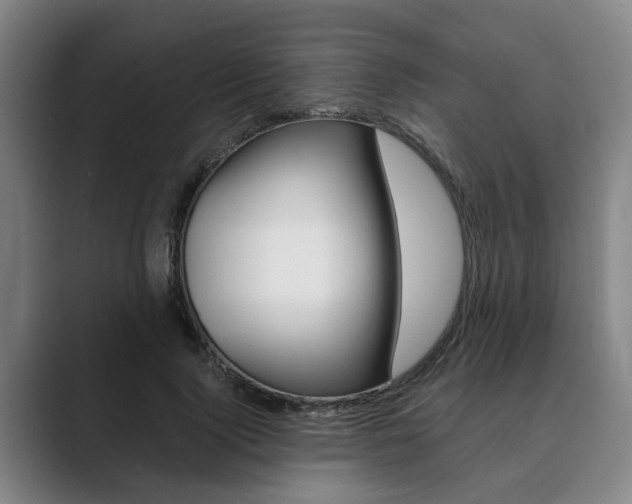 X0000089930740200706290755