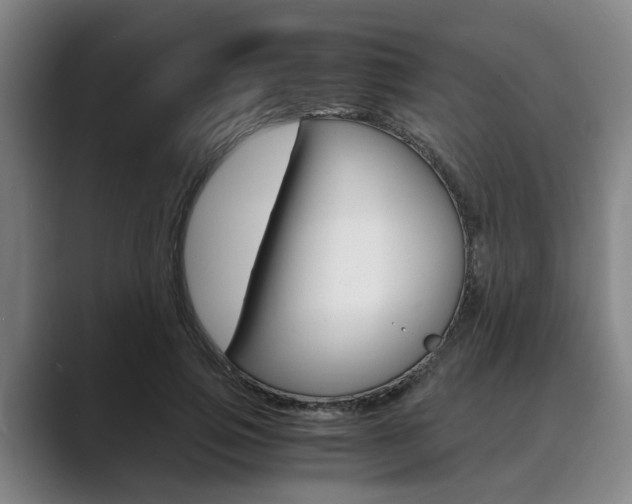 X0000089930741200706290755
