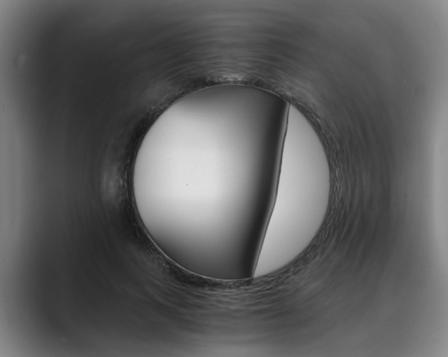 X0000089930743200706290755