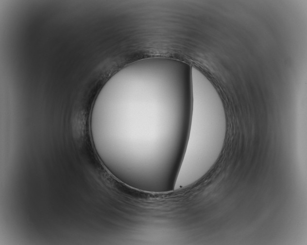 X0000089930744200706290755