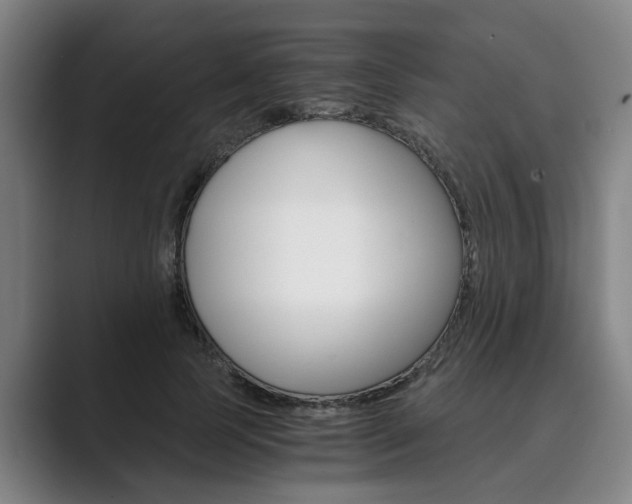 X0000089930745200706290755