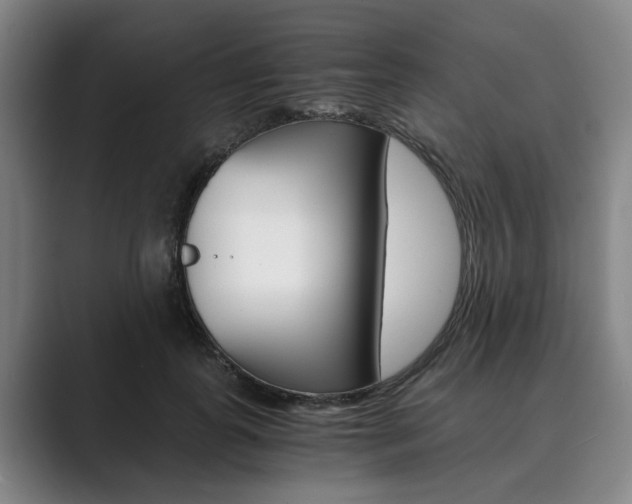 X0000089930747200706290755