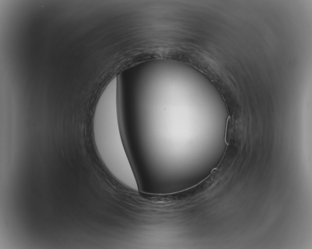 X0000089930750200706290755