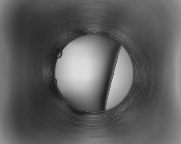 X0000089930751200706290755