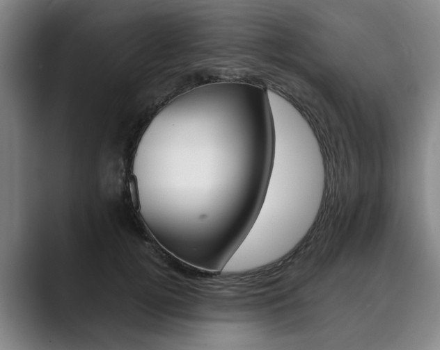X0000089930752200706290755