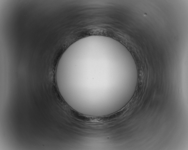 X0000089930753200706290755