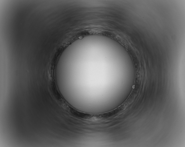 X0000089930755200706290755