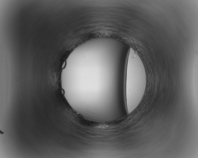 X0000089930759200706290755