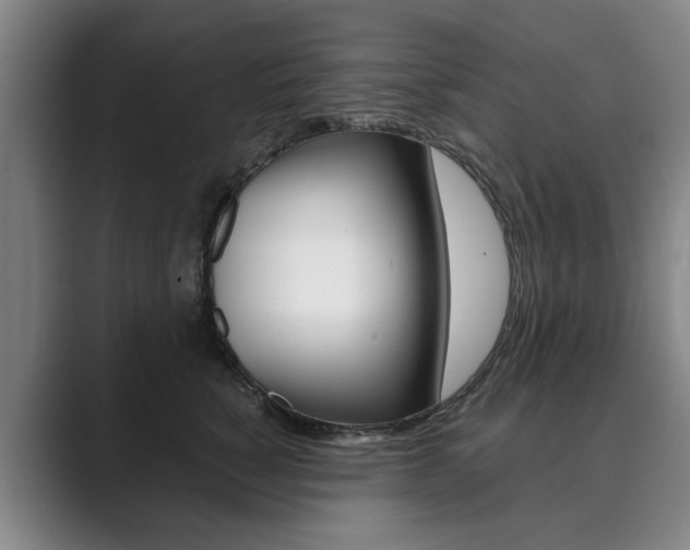 X0000089930760200706290755