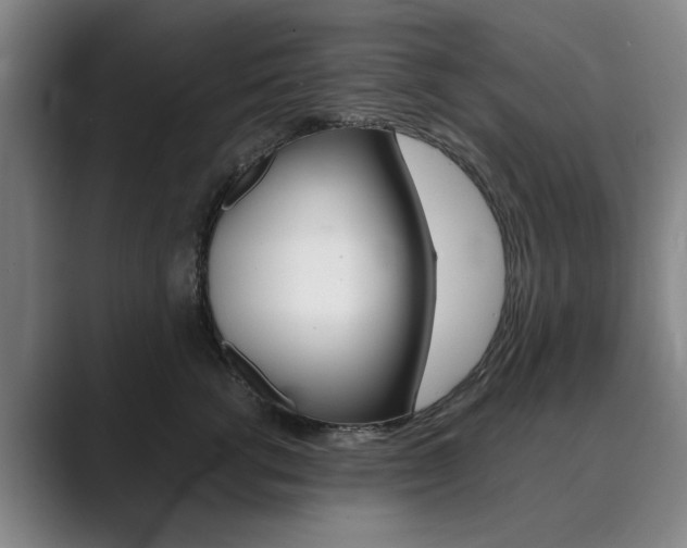X0000089930762200706290755