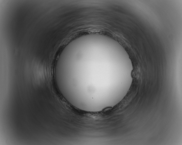 X0000089930763200706290755