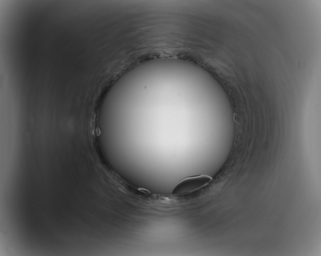 X0000089930768200706290755
