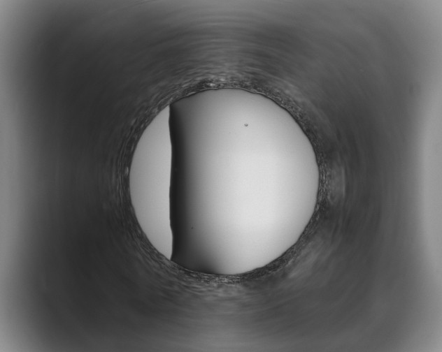 X0000089930770200706290755