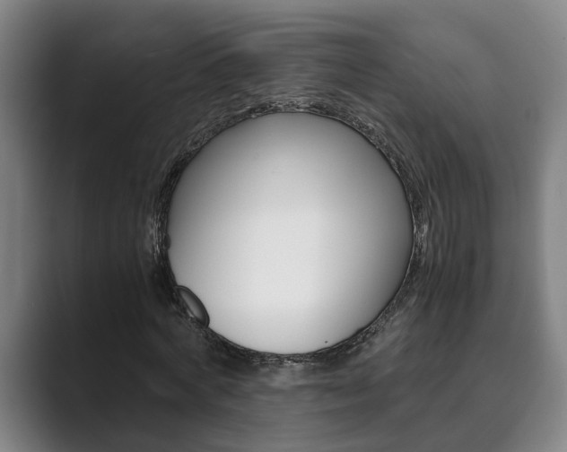 X0000089930772200706290755