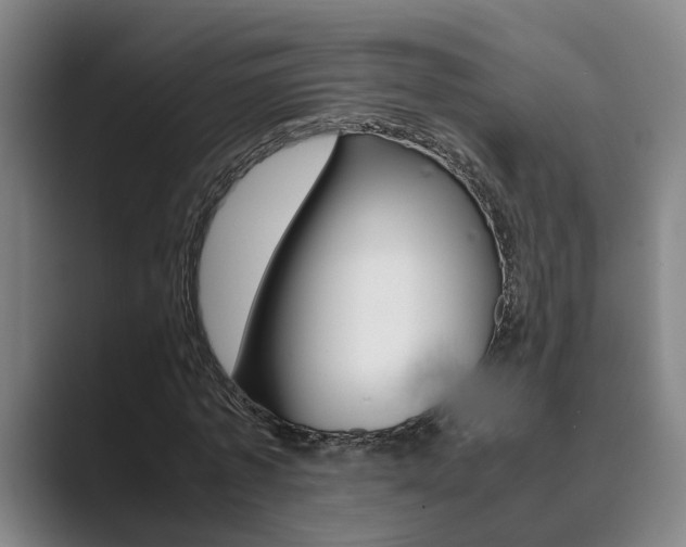 X0000089930773200706290755