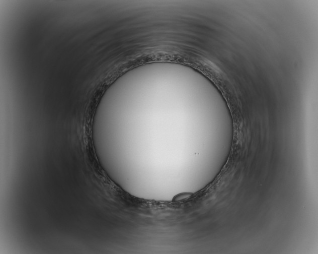 X0000089930774200706290755