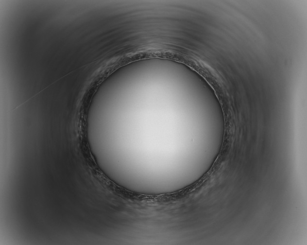 X0000089930776200706290755