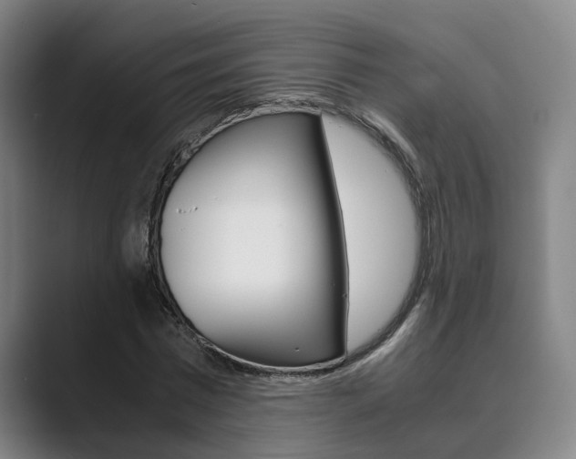 X0000089930777200706290755