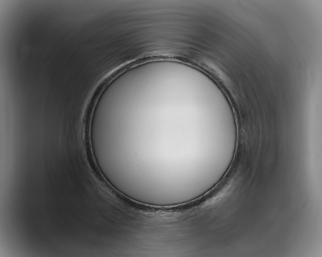 X0000089930779200706290754