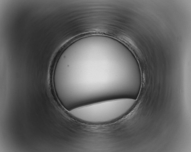 X0000089930780200706290754
