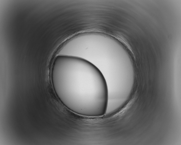 X0000089930781200706290754