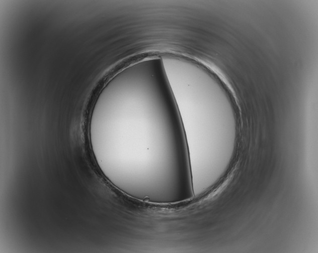 X0000089930783200706290754