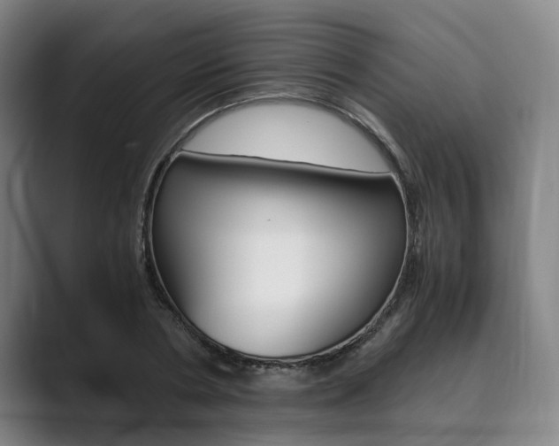 X0000089930786200706290754