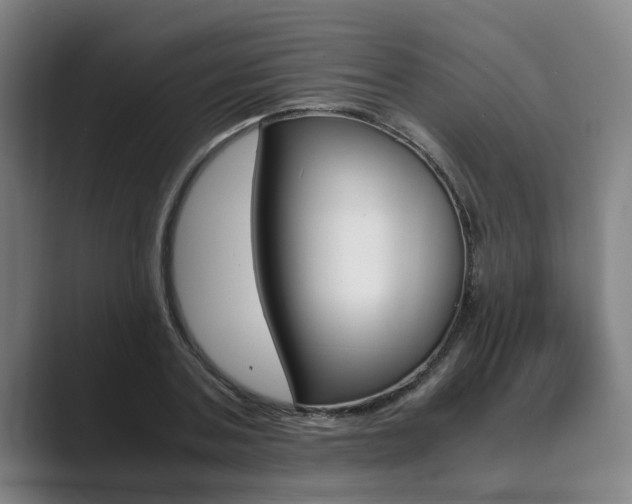 X0000089930787200706290754