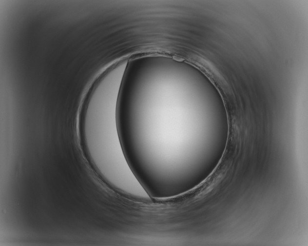 X0000089930788200706290754