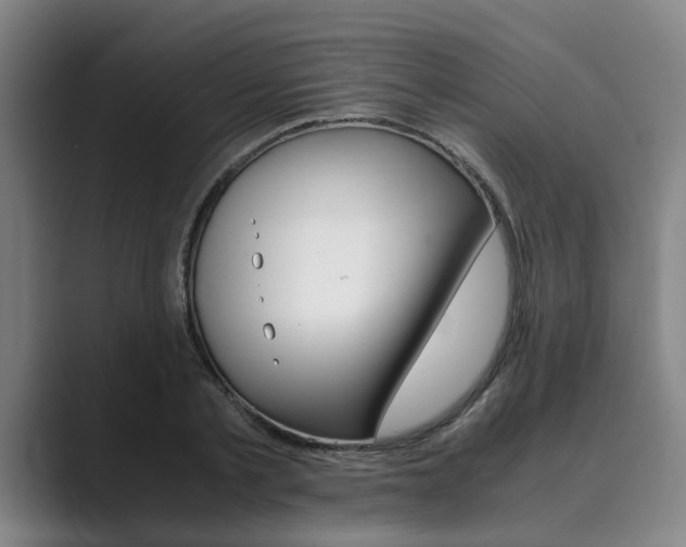 X0000089930789200706290754