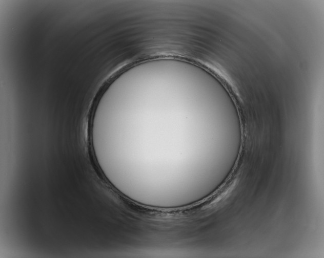 X0000089930790200706290754