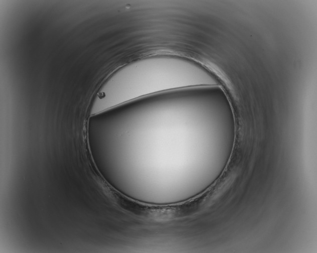 X0000089930793200706290754