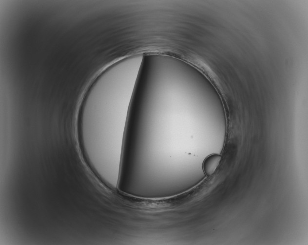 X0000089930795200706290754