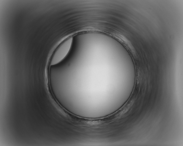 X0000089930796200706290754