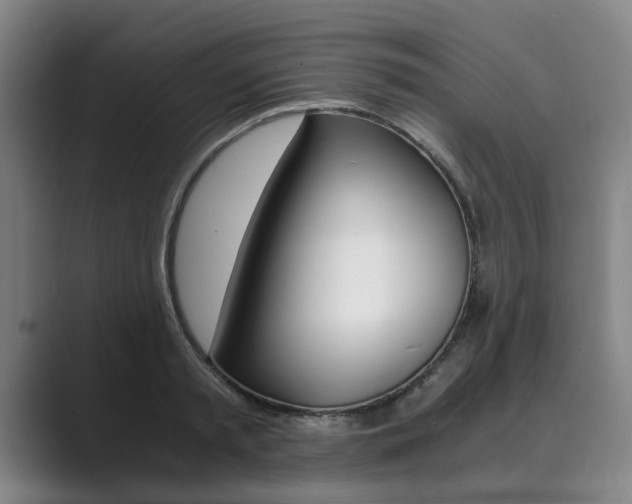 X0000089930797200706290754