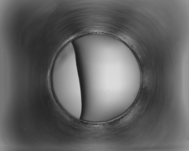 X0000089930798200706290754